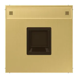 Jung Abdeckung (gerastet) für Modular-Jack-Steckbuchsen 1fach, UMA-CAT6A, RADIALL, Panduit, Assmann, mit Schriftfeld, Messing, Serie LS, Messing classic ME1969-1NAWEC