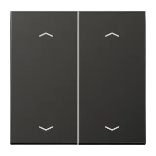 Jung Wippe, mit Pfeilsymbolen für Taster 2fach, Aluminium lackiert, Serie LS, anthrazit (lackiertes Aluminium) AL102PAN