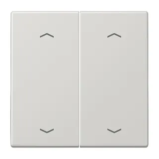 Jung Wippe, mit Pfeilsymbolen für Taster 2fach, Duroplast, Serie LS, lichtgrau LS102PLG