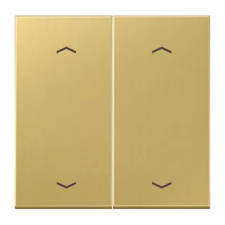 Jung Wippe, mit Pfeilsymbolen für Taster 2fach, Messing, Serie LS, Messing classic ME102PC