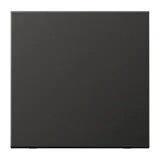 Jung Wippe für Taster 1fach, Aluminium lackiert, Serie LS, anthrazit (lackiertes Aluminium) AL101AN