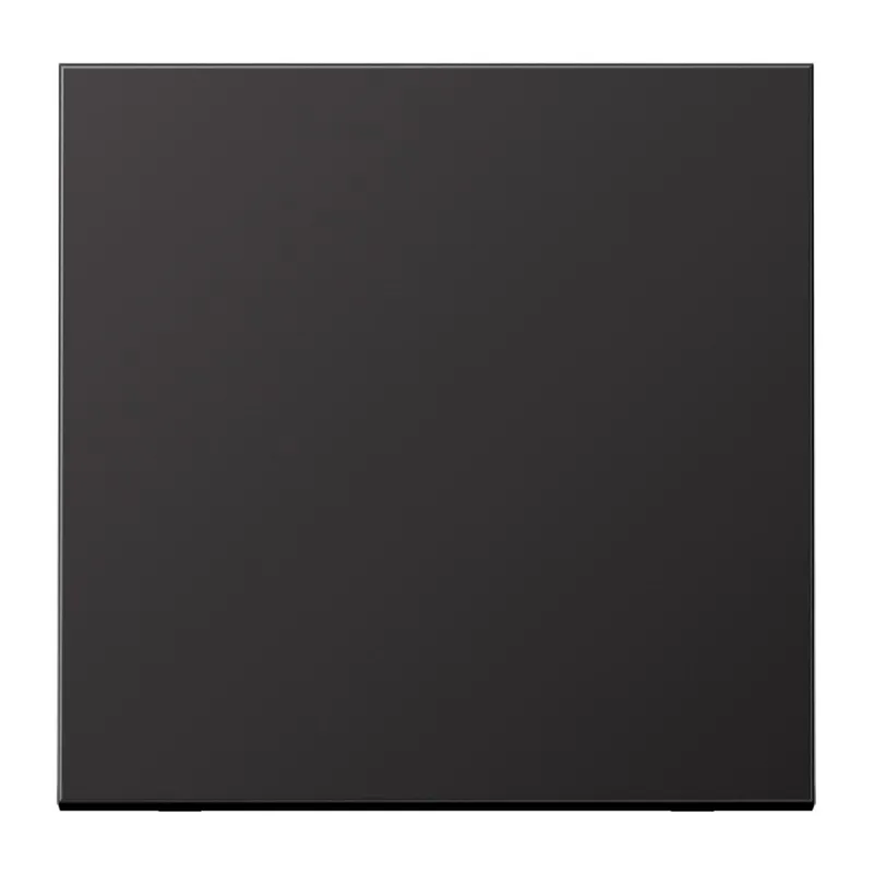 Jung Wippe für Taster 1fach, Aluminium lackiert, Serie LS, dark (lackiertes Aluminium) AL101D