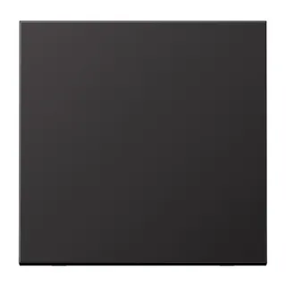 Jung Wippe für Taster 1fach, Aluminium lackiert, Serie LS, dark (lackiertes Aluminium) AL101D