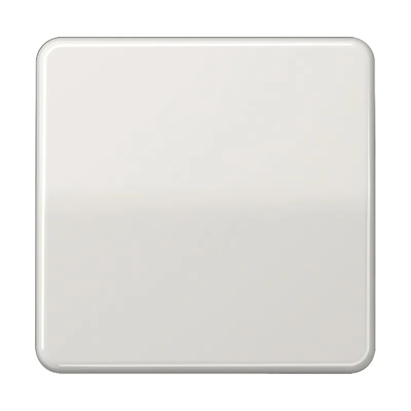 Jung Wippe für Taster 1fach, Duroplast, Serie CD, lichtgrau CD101LG