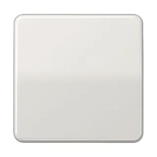 Jung Wippe für Taster 1fach, Duroplast, Serie CD, lichtgrau CD101LG