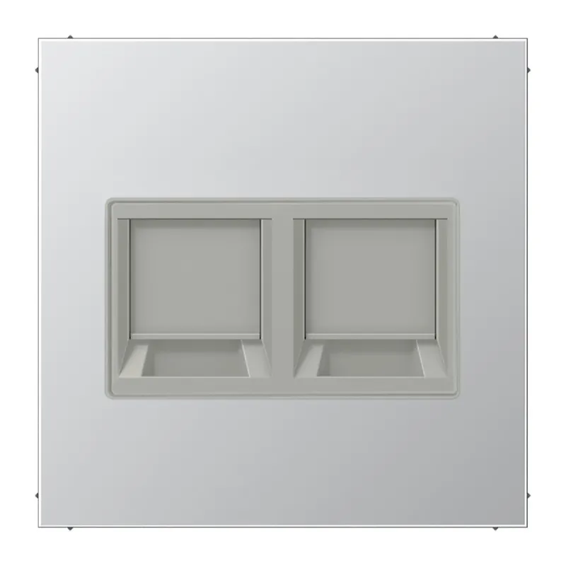 Jung Abdeckung (gerastet) für Modular-Jack-Steckbuchsen 2fach, UMA-CAT6A, RADIALL, Panduit, Assmann, Serie LS, Aluminium AL1969-2WE