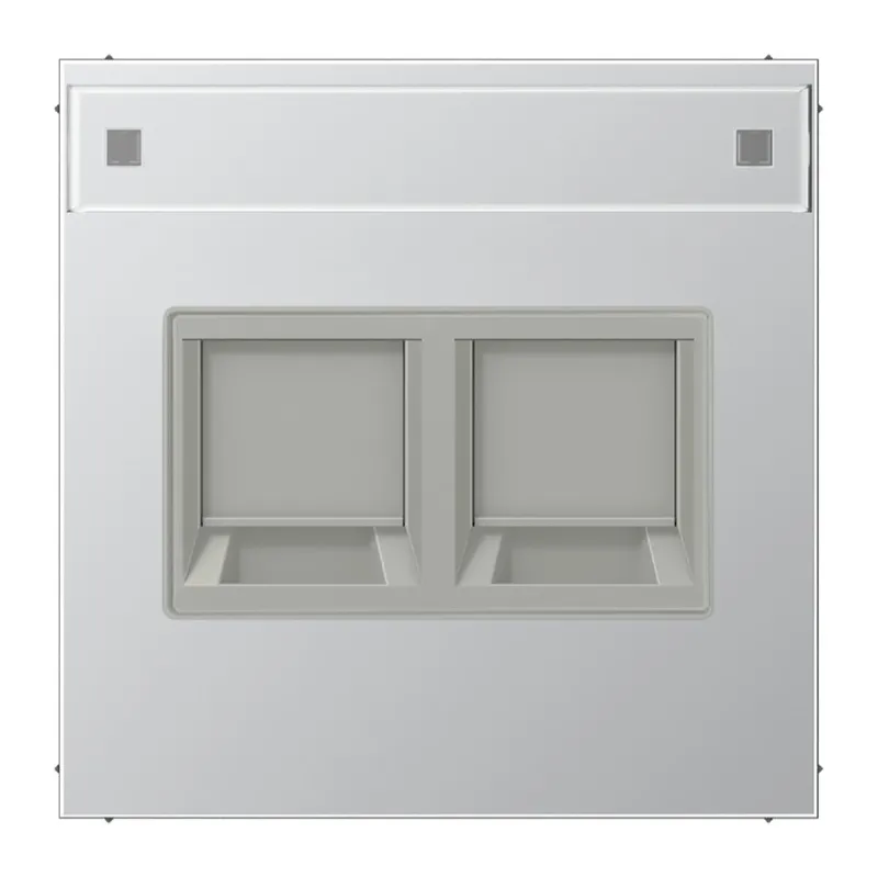 Jung Abdeckung (gerastet) für Modular-Jack-Steckbuchsen 2fach, UMA-CAT6A, RADIALL, Panduit, Assmann, mit Schriftfeld, Serie LS, Aluminium AL1969-2NAWE