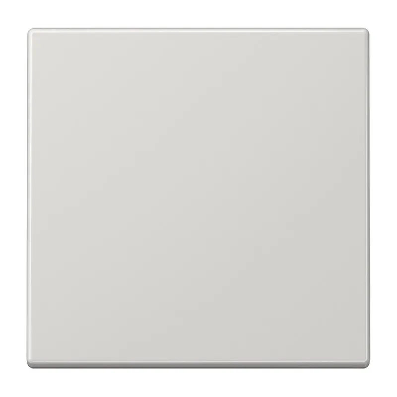 Jung Wippe für Taster 1fach, Duroplast, Serie LS, lichtgrau LS101LG