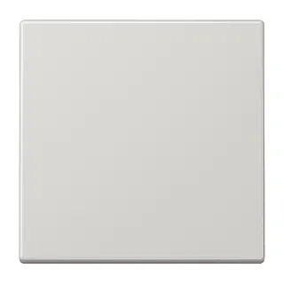 Jung Wippe für Taster 1fach, Duroplast, Serie LS, lichtgrau LS101LG