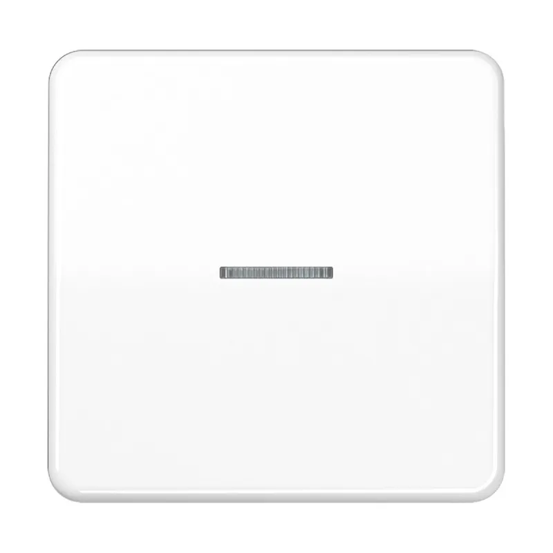 Jung Wippe mit Lichtleiter für Taster 1fach, Duroplast, Serie CD, alpinweiß CD101KO5WW