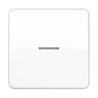 Jung Wippe mit Lichtleiter für Taster 1fach, Duroplast, Serie CD, alpinweiß CD101KO5WW