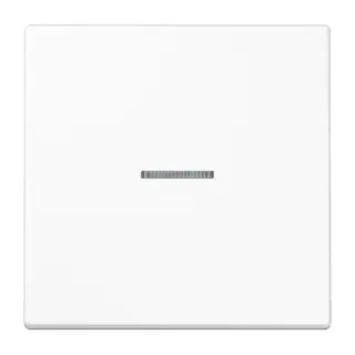 Jung Wippe mit Lichtleiter für Taster 1fach, Duroplast, Serie LS, alpinweiß LS101KO5WW