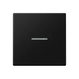Jung Wippe 1fach mit Lichtleiter, Serie A, graphitschwarz matt A590KO5SWM