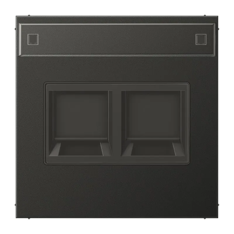 Jung Abdeckung (gerastet) für Modular-Jack-Steckbuchsen 2fach, UMA-CAT6A, RADIALL, Panduit, Assmann, mit Schriftfeld, Aluminium lackiert, Serie LS, anthraz AL1969-2NAWEAN