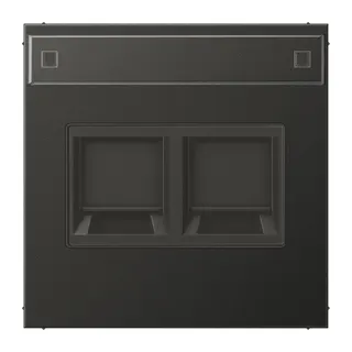 Jung Abdeckung (gerastet) für Modular-Jack-Steckbuchsen 2fach, UMA-CAT6A, RADIALL, Panduit, Assmann, mit Schriftfeld, Aluminium lackiert, Serie LS, anthraz AL1969-2NAWEAN