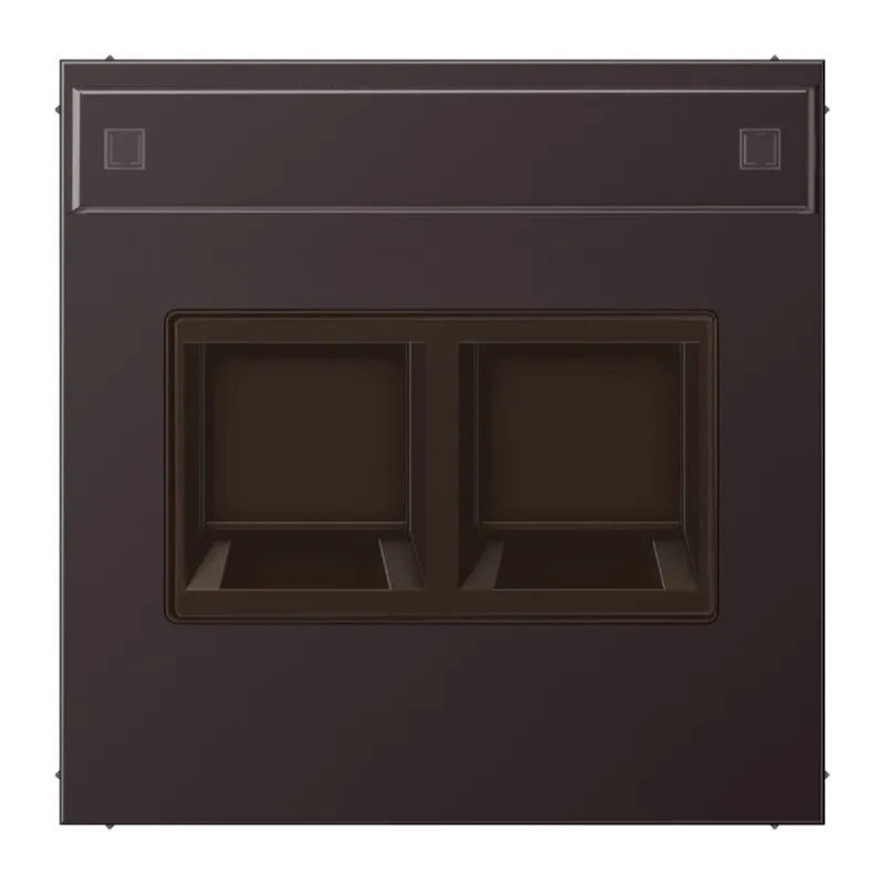 Jung Abdeckung (gerastet) für Modular-Jack-Steckbuchsen 2fach, UMA-CAT6A, RADIALL, Panduit, Assmann, mit Schriftfeld, Aluminium lackiert, Serie LS, dark AL1969-2NAWED