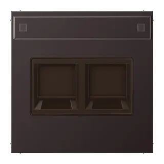 Jung Abdeckung (gerastet) für Modular-Jack-Steckbuchsen 2fach, UMA-CAT6A, RADIALL, Panduit, Assmann, mit Schriftfeld, Aluminium lackiert, Serie LS, dark AL1969-2NAWED