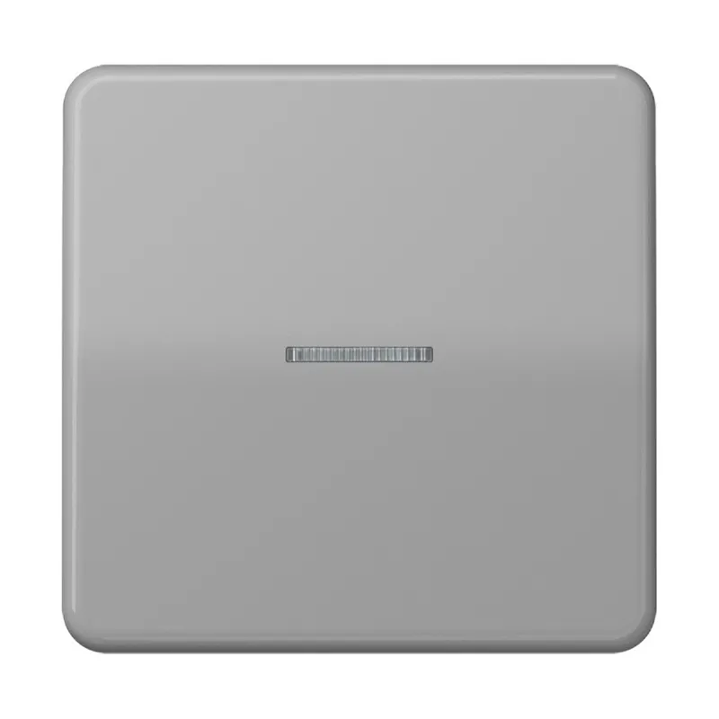 Jung Wippe mit Lichtleiter für Taster 1fach, Duroplast, Serie CD, grau CD101KO5GR