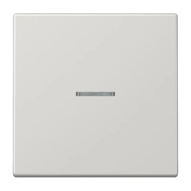 Jung Wippe mit Lichtleiter für Taster 1fach, Duroplast, Serie LS, lichtgrau LS101KO5LG