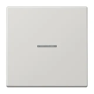 Jung Wippe mit Lichtleiter für Taster 1fach, Duroplast, Serie LS, lichtgrau LS101KO5LG