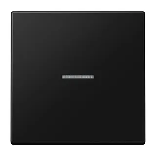 Jung Wippe 1fach mit Lichtleiter, Serie LS, graphitschwarz matt LS990KO5SWM