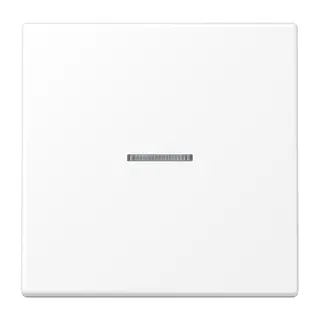 Jung Wippe 1fach mit Lichtleiter, Serie LS, schneeweiß matt LS990KO5WWM