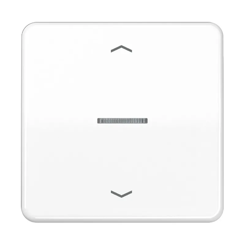 Jung Wippe mit Lichtleiter, mit Pfeilsymbolen für Taster 1fach, Duroplast, Serie CD, alpinweiß CD101KO5PWW