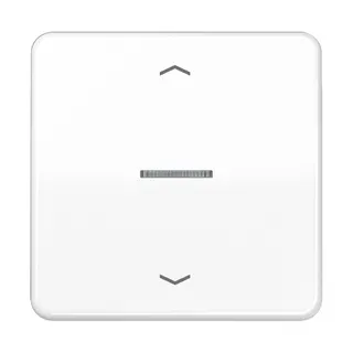 Jung Wippe mit Lichtleiter, mit Pfeilsymbolen für Taster 1fach, Duroplast, Serie CD, alpinweiß CD101KO5PWW