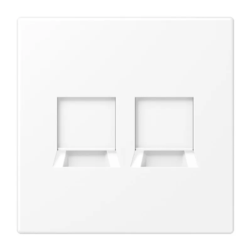 Jung Abdeckung (gerastet) für Modular-Jack-Steckbuchsen 2fach, Serie LS, schneeweiß matt LS1969-2WEWWM