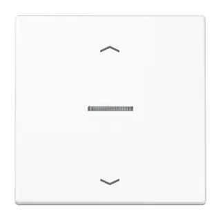 Jung Wippe mit Lichtleiter, mit Pfeilsymbolen für Taster 1fach, Duroplast, Serie LS, alpinweiß LS101KO5PWW