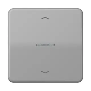 Jung Wippe mit Lichtleiter, mit Pfeilsymbolen für Taster 1fach, Duroplast, Serie CD, grau CD101KO5PGR