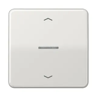 Jung Wippe mit Lichtleiter, mit Pfeilsymbolen für Taster 1fach, Duroplast, Serie CD, lichtgrau CD101KO5PLG
