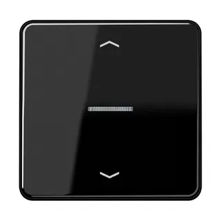 Jung Wippe mit Lichtleiter, mit Pfeilsymbolen für Taster 1fach, Duroplast, Serie CD, schwarz CD101KO5PSW