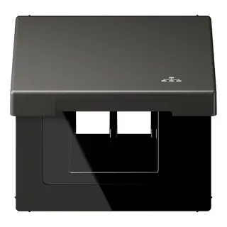 Jung Klappdeckel mit Rückstellfeder, mit Symbol LAN, Serie LS, anthrazit (lackiertes Aluminium) AL2990KLLANAN