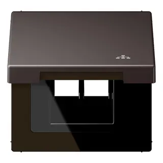 Jung Klappdeckel mit Rückstellfeder, mit Symbol LAN, Serie LS, dark (lackiertes Aluminium) AL2990KLLAND