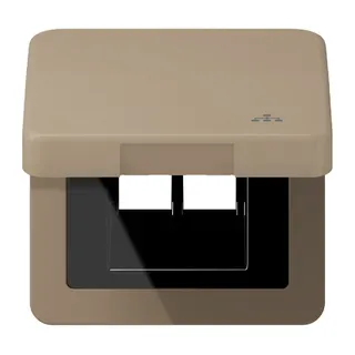 Jung Klappdeckel inklusive Zentralplatte, mit Symbol LAN, Serie CD, gold-bronze CD590KLLANGB