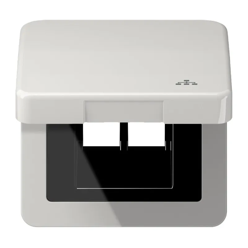 Jung Klappdeckel inklusive Zentralplatte, mit Symbol LAN, Serie CD, lichtgrau CD590KLLANLG