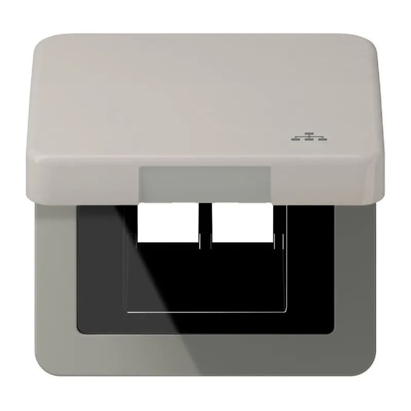 Jung Klappdeckel inklusive Zentralplatte, mit Symbol LAN, Serie CD, platin CD590KLLANPT