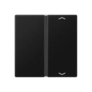 Jung Taste 1fach, mit Pfeilsymbolen, F40, Serie A, graphitschwarz matt A401TSAPSWM