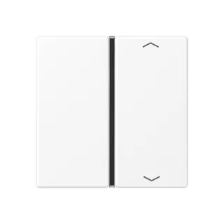 Jung Taste 1fach, mit Pfeilsymbolen, F40, Serie A, schneeweiß matt A401TSAPWWM