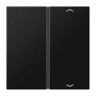 Jung Taste 1fach, mit Pfeilsymbolen, F40, Serie LS, graphitschwarz matt LS401TSAPSWM