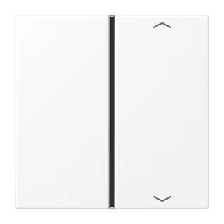 Jung Taste 1fach, mit Pfeilsymbolen, F40, Serie LS, schneeweiß matt LS401TSAPWWM