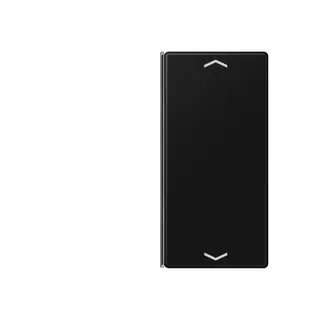 Jung Taste 2fach, mit Pfeilsymbolen, F40, Serie A, graphitschwarz matt A402TSAPSWM