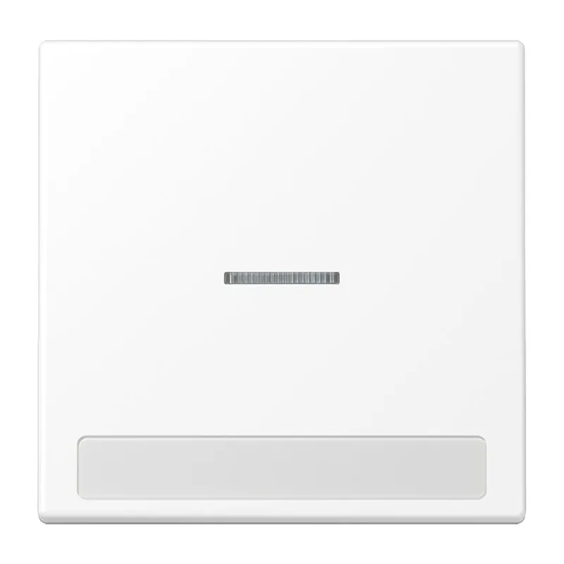 Jung Wippe 1fach mit Lichtleiter, mit Schriftfeld, Serie LS, schneeweiß matt LS990NAKO5WWM