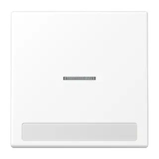 Jung Wippe 1fach mit Lichtleiter, mit Schriftfeld, Serie LS, schneeweiß matt LS990NAKO5WWM