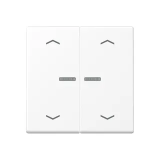 Jung Wippe mit Lichtleiter, mit Pfeilsymbolen für Taster 2fach, Thermoplast lackiert, Serie A, schneeweiß matt A102KO5PBFWWM