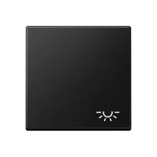 Jung Wippe 1fach, Symbol Licht, Serie A, graphitschwarz matt A590LSWM
