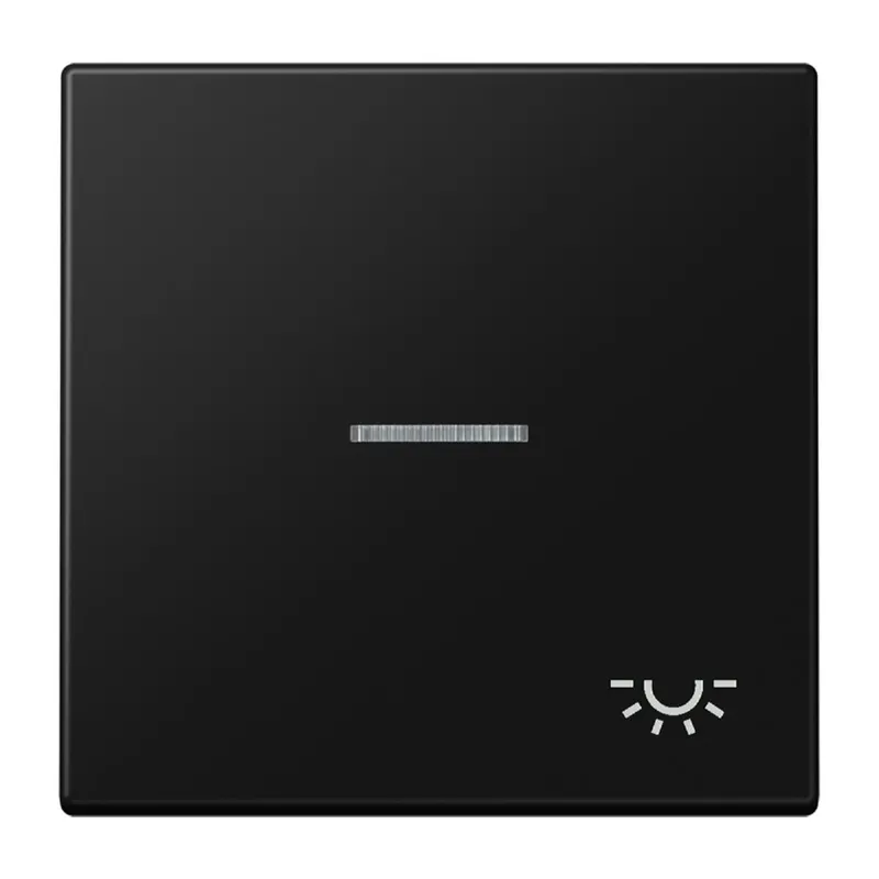 Jung Wippe 1fach mit Lichtleiter, Symbol Licht, Serie LS, graphitschwarz matt LS990KO5LSWM