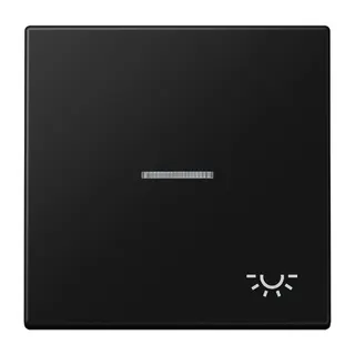 Jung Wippe 1fach mit Lichtleiter, Symbol Licht, Serie LS, graphitschwarz matt LS990KO5LSWM