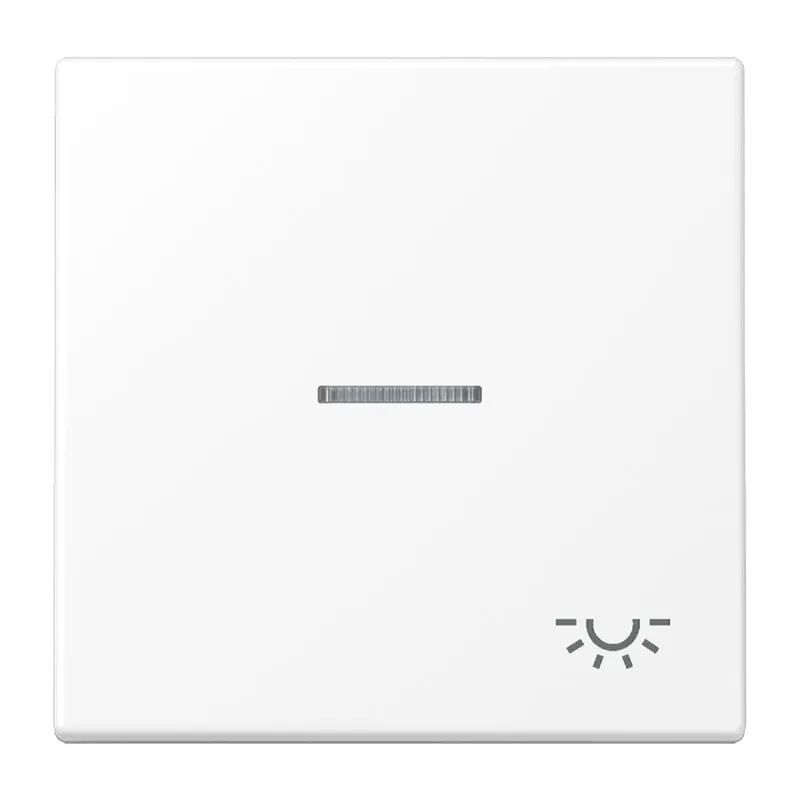 Jung Wippe 1fach mit Lichtleiter, Symbol Licht, Serie LS, schneeweiß matt LS990KO5LWWM